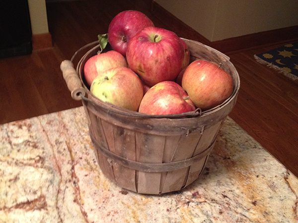 apple picking baldwin city orchard