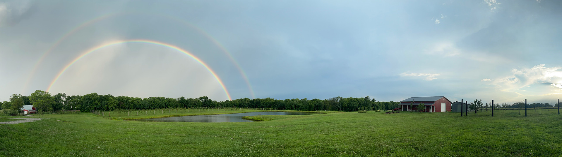 baldwin city orchard trees rainbow